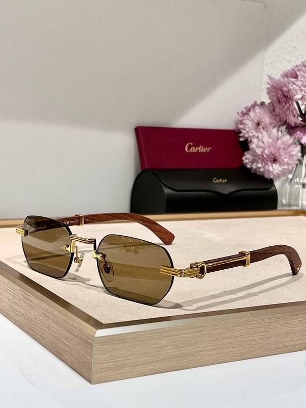 Cartier Sunglasses 116